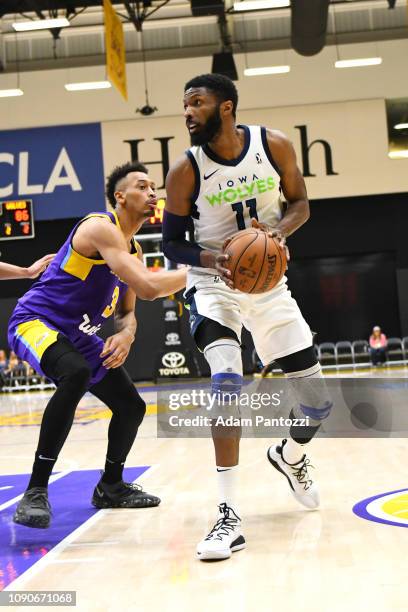 Hakim Warrick of the Iowa Wolves handles the basketball against the South Bay Lakers on January 25, 2019 at UCLA Heath Training Center in El Segundo,...