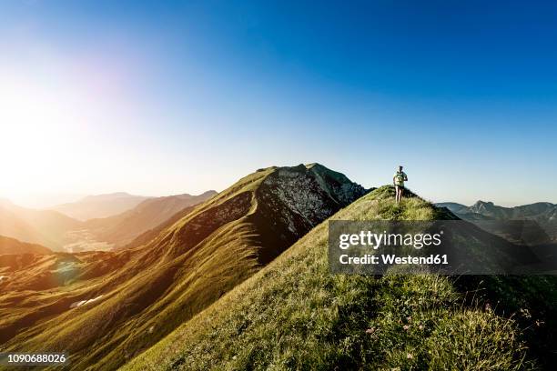 germany, allgaeu alps, woman running on mountain ridge - germany womens training stockfoto's en -beelden