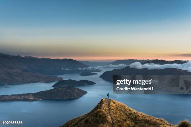 new zealand, south island, wanaka, otago, woman on coromandel peak at sunrise - observation point stockfoto's en -beelden