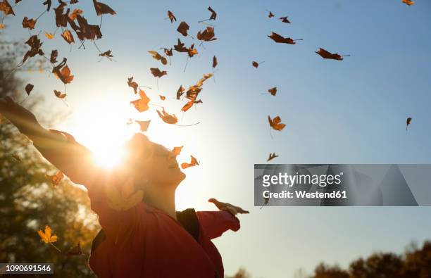 woman throwing up autumn leaves at backlight - wald sonnenstrahlen stock-fotos und bilder