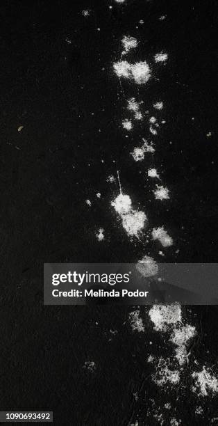black background with white splatter pattern - guano stock pictures, royalty-free photos & images