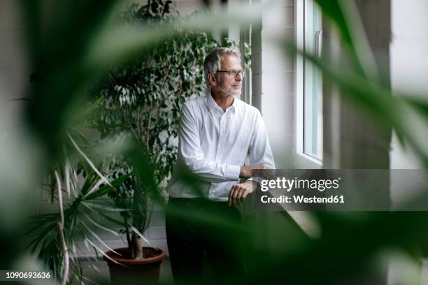 businessman taking a break, looking out of window - men bulge stock pictures, royalty-free photos & images