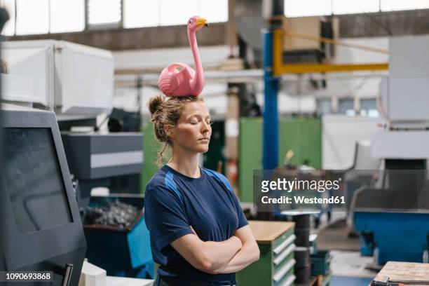 young woman working as a skilled worker in a high tech company, balancing a pink flamingo on her head - rosa germanica foto e immagini stock