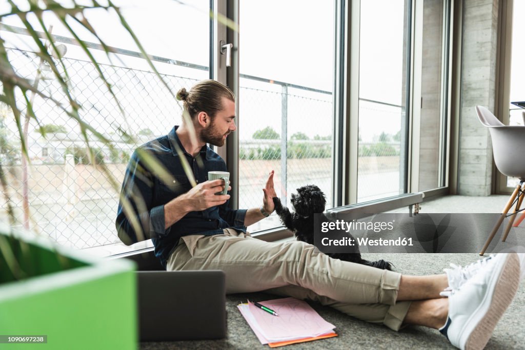 Young businessman with laptop sitting on the floor in office playing with dog