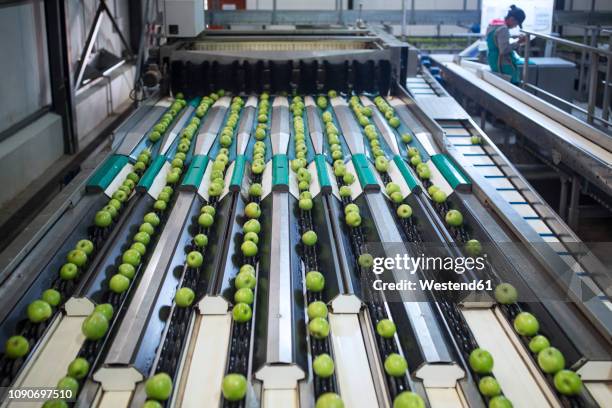 Apple Factory Photos and Premium High Res Pictures - Getty Images