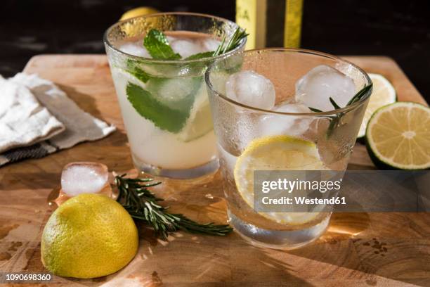 glasses of gin tonic with lime, mint, rosmary and ice and with lemon, rosmary and ice - gin tónico - fotografias e filmes do acervo