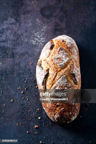 fresh sourdough brown bread - loaf of bread bildbanksfoton och bilder