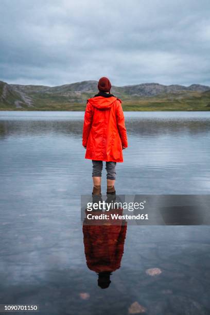 young man standing ankle deep in water, looking at distance, rear view - ankle deep in water bildbanksfoton och bilder