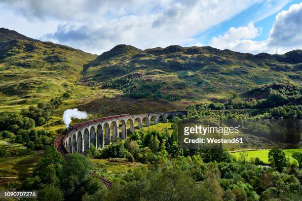 uk, scotland, highlands, glenfinnan viaduct with a steam train passing over it - schotland stockfoto's en -beelden