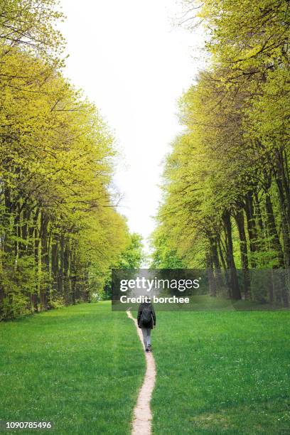 grüner pfad in paris - weg frühling stock-fotos und bilder