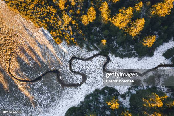 above the forest stream - slovenia winter stock pictures, royalty-free photos & images