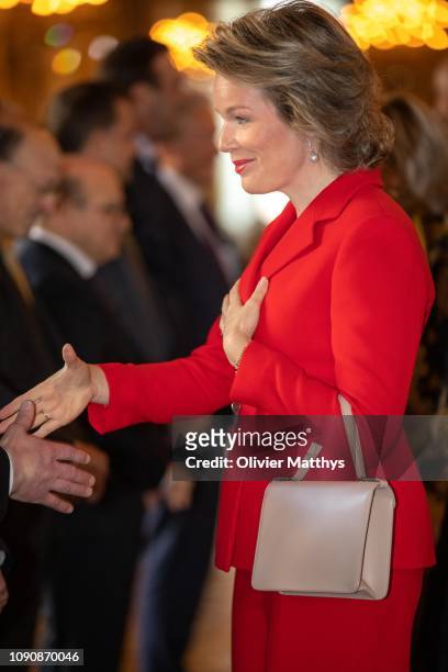 Queen Mathilde of Belgium welcomes principal authorities of the country at the Royal Palace on January 29, 2019 in Brussels, Belgium.