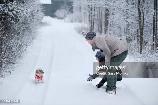 young couple playing with dog in snow covered forest, ontario, canada - dog coat stock pictures, royalty-free photos & images