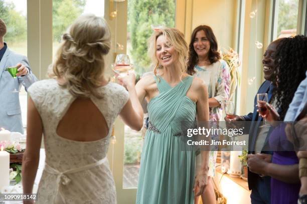 wedding guests toasting to newlyweds at reception - wedding guest 個照片及圖片檔