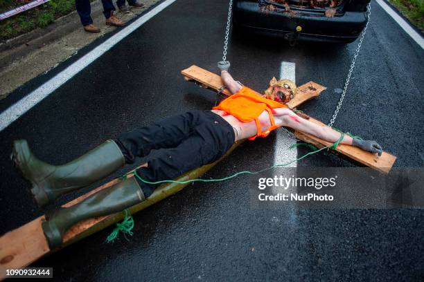 Car drag a young man down the road, they use scary costumes in the traditional carnival of Zubieta . They are the so-called &quot;Mozorros&quot; that...