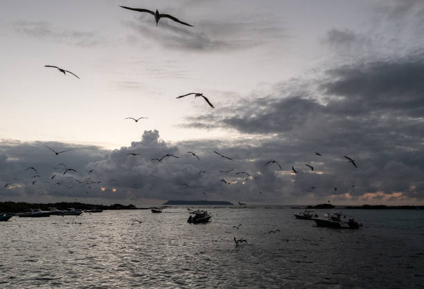 ECU: Nature and Human Lives Seek Equilibrium In Galapagos