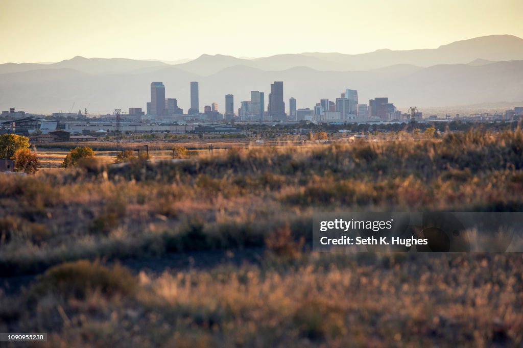Landscape, skyline of skyscrapers in background, Denver, Colorado, USA