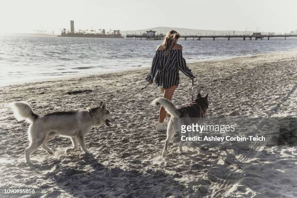 young woman walking pet dogs on beach - long beach californië stockfoto's en -beelden