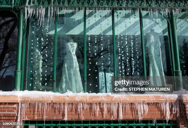 Icicles form outside a bridal shop on January 29, 2019 in Minneapolis, Minnesota. - The polar vortex is here -- tens of millions of people in the US...