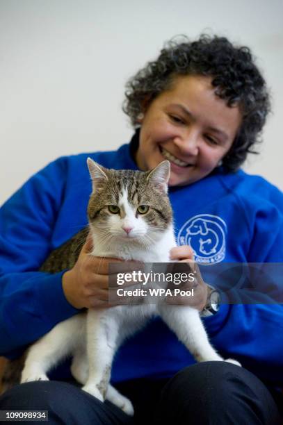 Kirsty Walker, Head of Cats at Battersea Dogs and Cats Home in London, holds "Larry" before he is taken to Downing Street on February 15, 2011 in...