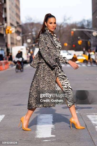 Catriona Gray is seen in Midtown on January 07, 2019 in New York City.