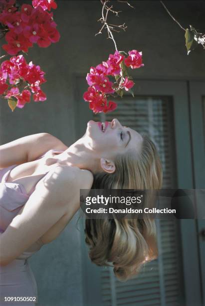 Swedish actress Anita Ekberg poses for a photo on April 22, 1956 in Palm Springs, California.
