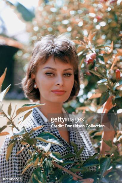 Italian actress Sophia Loren poses for a portrait on August 20, 1958 in Los Angeles, California.