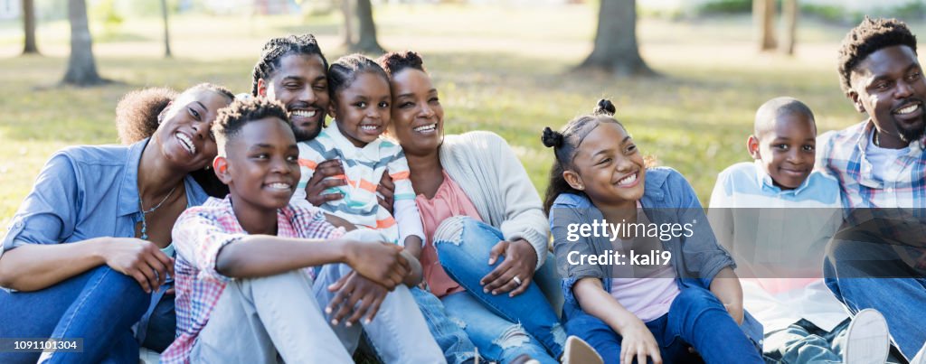 Large African-American family sitting together on grass