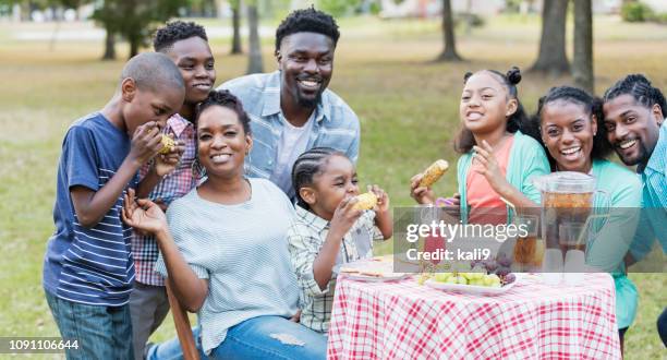 裏庭 cookout を持つアフリカ系アメリカ人大家族 - aunt ストックフォトと画像