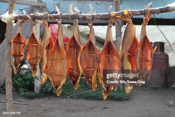 dried/cured fish hanging in the open - lake issyk kul stock pictures, royalty-free photos & images