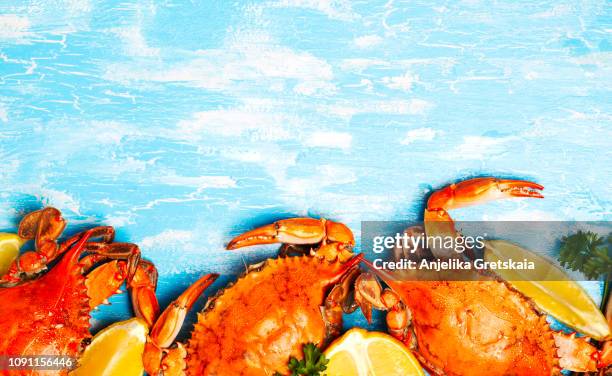 cooked crabs on blue background - crab legs stock pictures, royalty-free photos & images