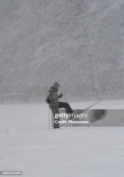 Baraque Michel,, Belgium JANUARY 30 2019 - Ski à la Baraque Michel - Skiën op de Baraque Michel © Philip Reynaers / Photonews via Getty Images)