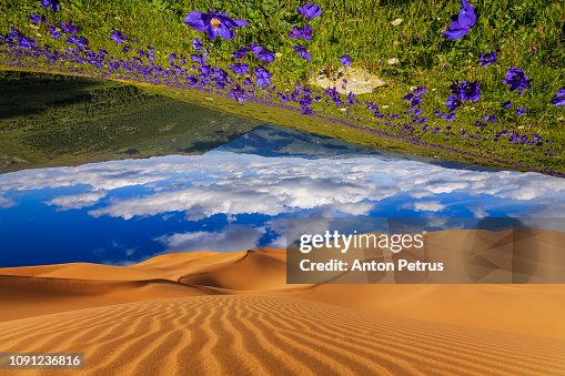 Desert Invert Global Warming Concept Image Inverted Image Of The Desert And Mountain ...