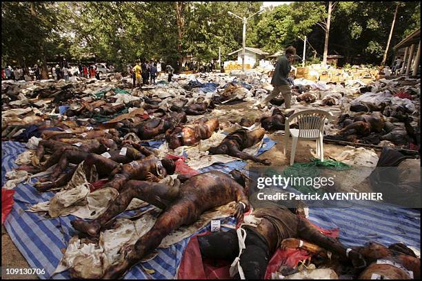 Hundreds Of Corpses Killed By Tsunami Waiting To Be Identified In A Buddhist Temple Near Khao Lak On December 29, 2004 In Khao Lak, India.