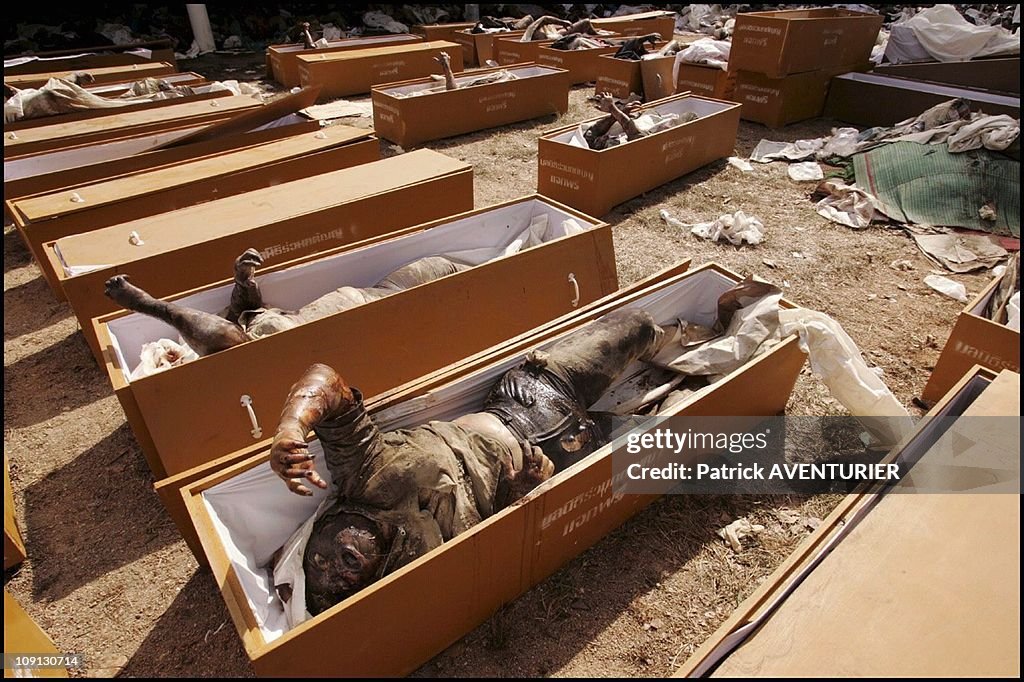 Hundreds Of Corpses Killed By Tsunami Waiting To Be Identified In A Buddhist Temple Near Khao Lak On December 29, 2004 In Khao Lak, India