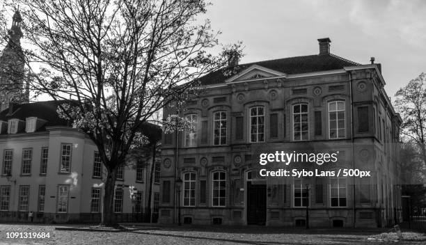 koningin wilhelmina paviljoen in breda - paviljoen stock pictures, royalty-free photos & images