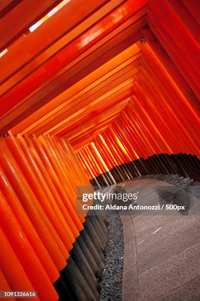 inari - inari shrine stock pictures, royalty-free photos & images