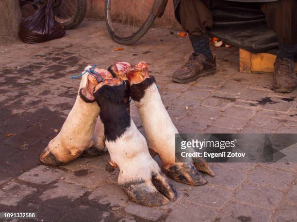 cow legs for sale at street market in marrakesh, morocco - animal limb stock-fotos und bilder
