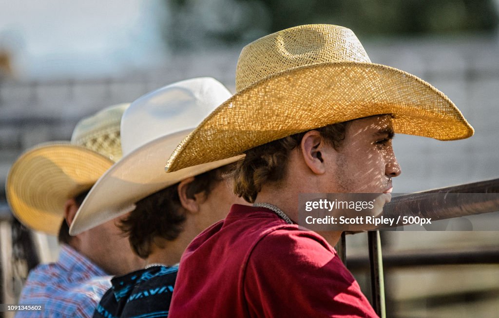 Watching the bull riding event setup at the Sherman County Fair, Moro, Oregon.