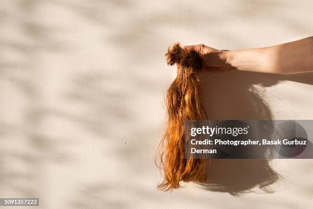 cut off hair, dangling from woman's hand - woman long brown hair stock pictures, royalty-free photos & images