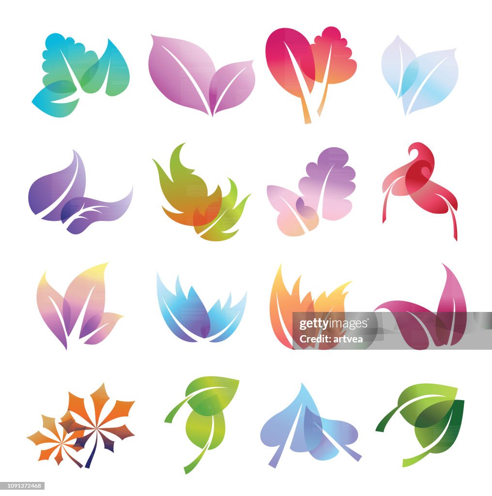 Color leaves set