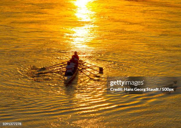 El Ruder Rudern Ruderer Rower Photos and Premium High Res Pictures - Getty Images