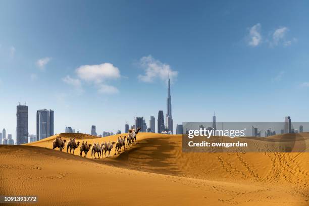 looking along desert towards the business district - west asia stock pictures, royalty-free photos & images