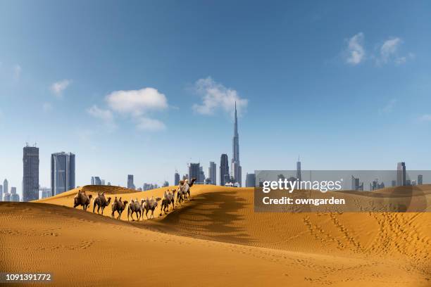 looking along desert towards the business district - united arab emirates cityscape stock pictures, royalty-free photos & images