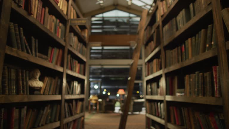 Book Library Viode 605 Old Book Library Stock Videos, Footage, & 4K Video Clips - Getty Images