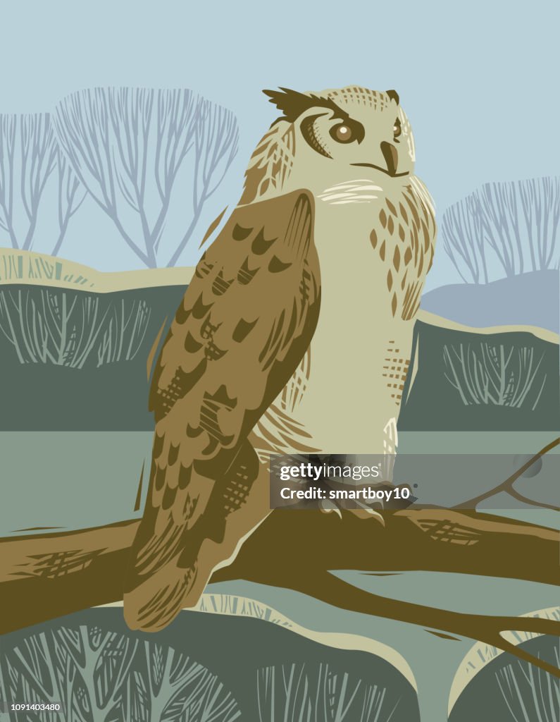 Countryside scene with Eagle Owl