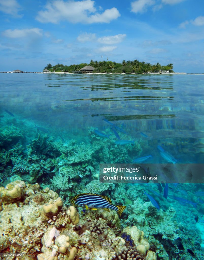 Split-level View of Eriyadu Island, Maldives