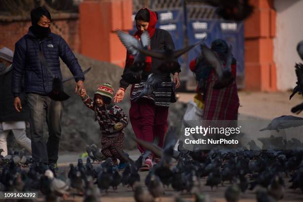 Little boy reacts as playing with pigeons at Basantapur Durbar Square, Kathmandu, Nepal on Wednesday, January 29, 2019. Basantapur Durbar Square is...