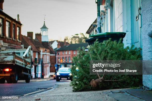 a discarded christmas tree on the street - wheelie bin stock pictures, royalty-free photos & images