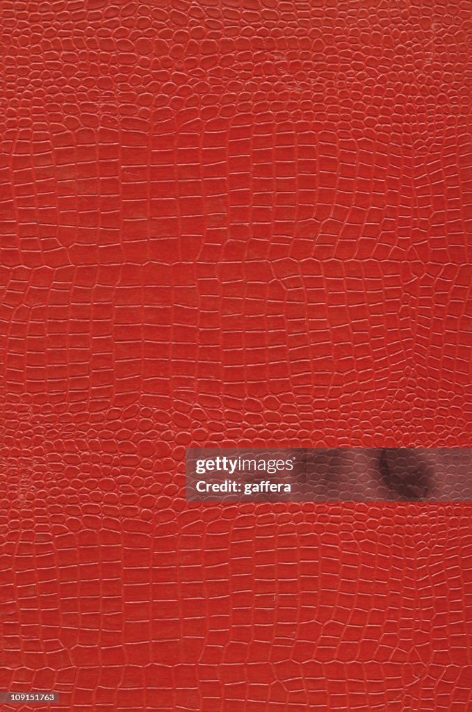 Alligator skin